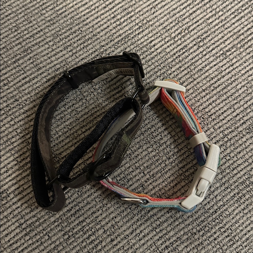 Dog Collars - Size Small - Picture 3 of 4